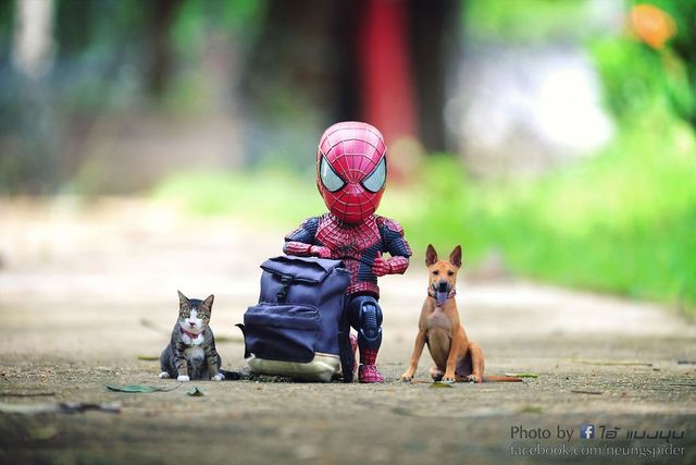 Як виглядають вихідні Людини-павука: кумедні фото - фото 243465