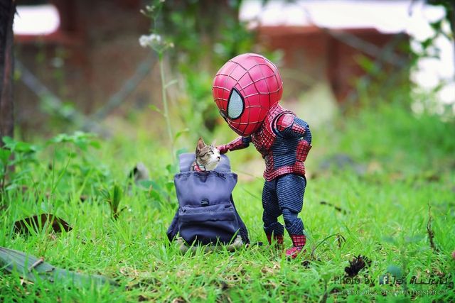 Як виглядають вихідні Людини-павука: кумедні фото - фото 243473