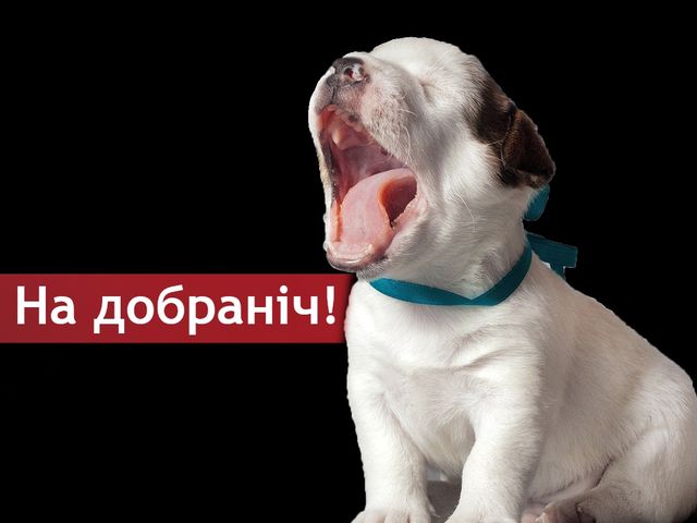 Картинка На добраніч - фото 242643