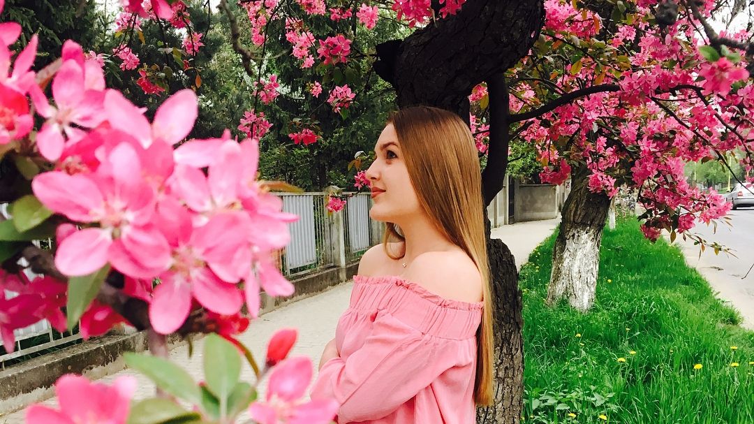 В Ужгороді зацвіла сакура: фото з соцмереж, які вас зачарують