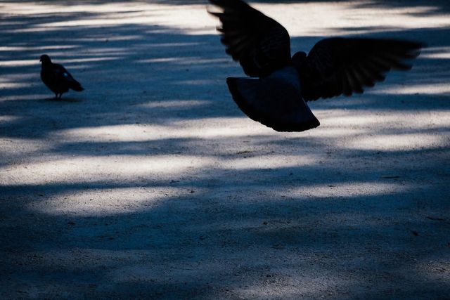 Фотограф показав власний погляд на Хорватію - фото 243331