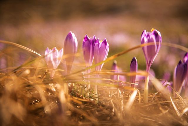 Весна у польських горах: фото, від яких перехоплює дух - фото 240728