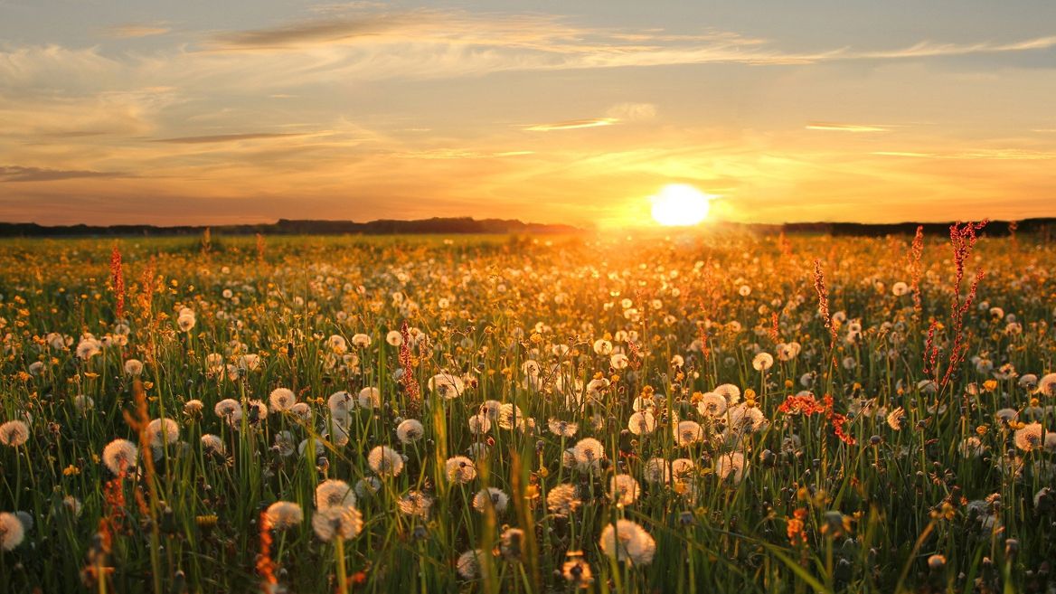 Локальні невеликі дощі ймовірні на заході і півночі України - фото 1