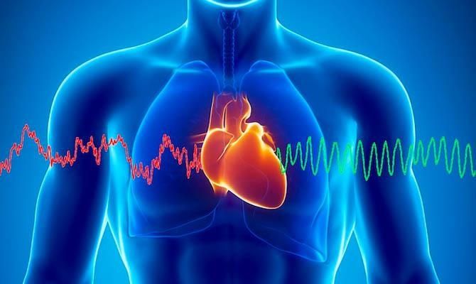 Названо спосіб омолодити серце на 20 років