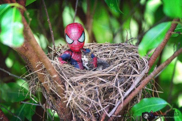 Як виглядають вихідні Людини-павука: кумедні фото - фото 243475