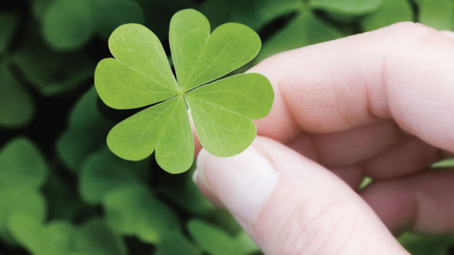 Гороскоп на травень 2018 - фото 1