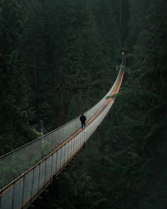 Пейзажі Британської Колумбії в об'єктиві талановитого фотографа - фото 243925