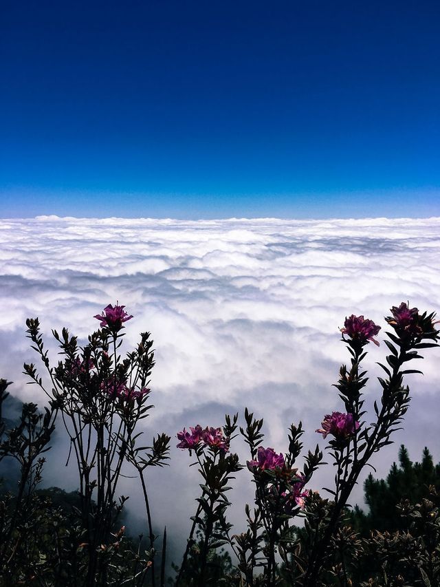 Мандрівка найвищими горами на Філіппінах - фото 240282