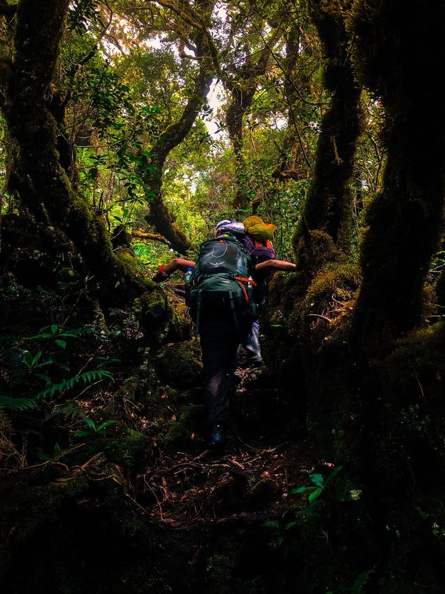 Мандрівка найвищими горами на Філіппінах - фото 240270
