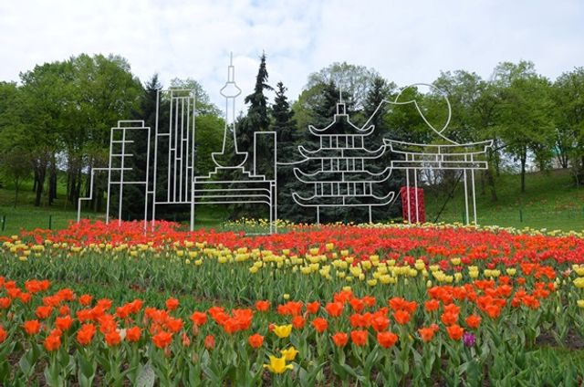 У Києві відкрилася виставка тюльпанів- фото 243811