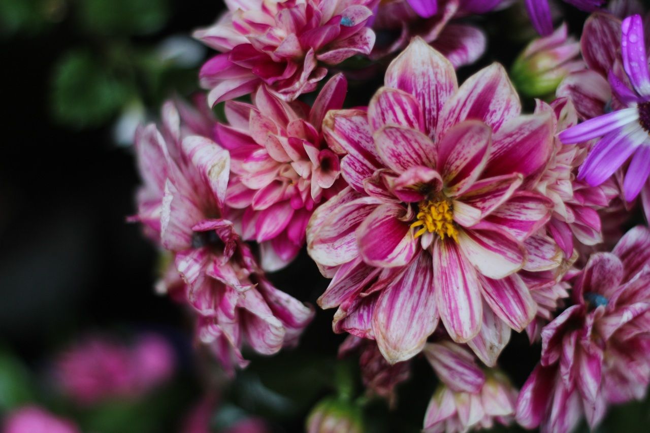 Синоптик попередила про різку зміну погоди - фото 1