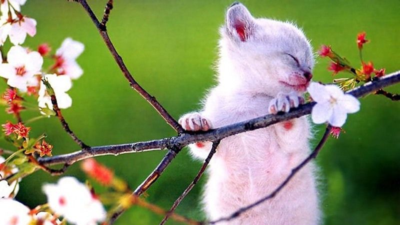 Синоптик розповіла, якою буде погода на вихідних