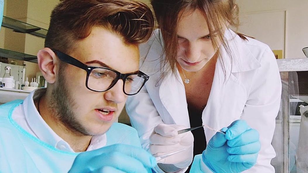 Український школяр запропонував виготовляти папір з опалого листя