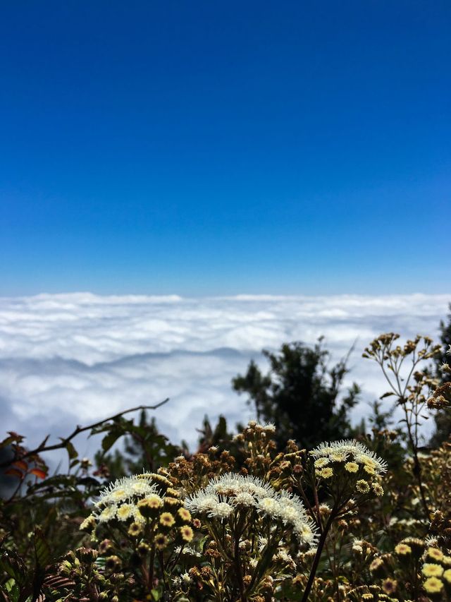 Мандрівка найвищими горами на Філіппінах - фото 240269