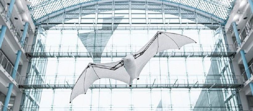 У Німеччині створили робота, який нагадує летючу лисицю