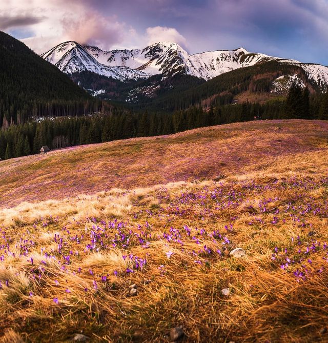 Весна у польських горах: фото, від яких перехоплює дух - фото 240741