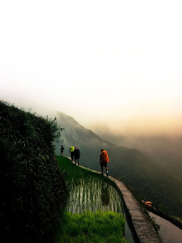 Мандрівка найвищими горами на Філіппінах - фото 240278