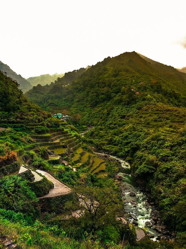 Мандрівка найвищими горами на Філіппінах - фото 240275
