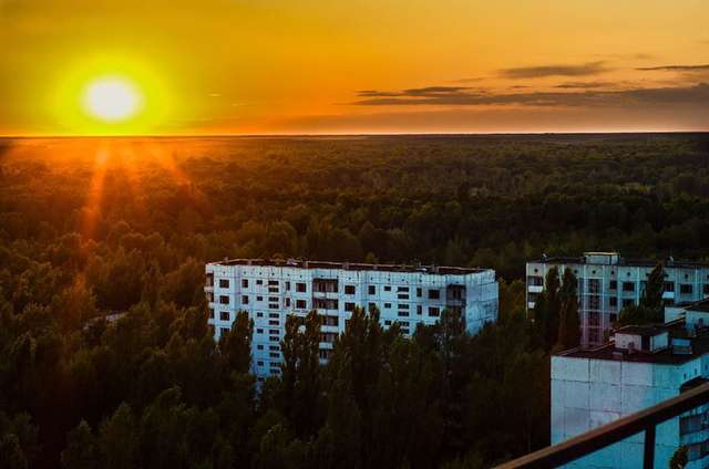 Природа в Чорнобилі - фото 243309