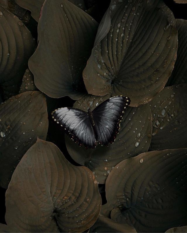 Таємничі пригоди талановитого фотографа, від яких перехоплює подих - фото 243000