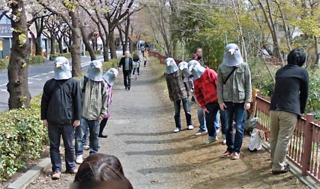 Дивні знімки, зроблені Google Street View- фото 241808