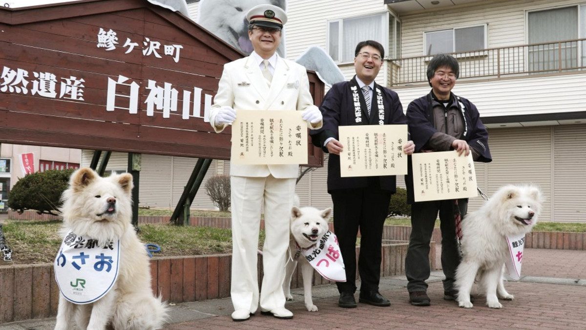 Бездомний пес став начальником вокзалу в Японії - фото 1