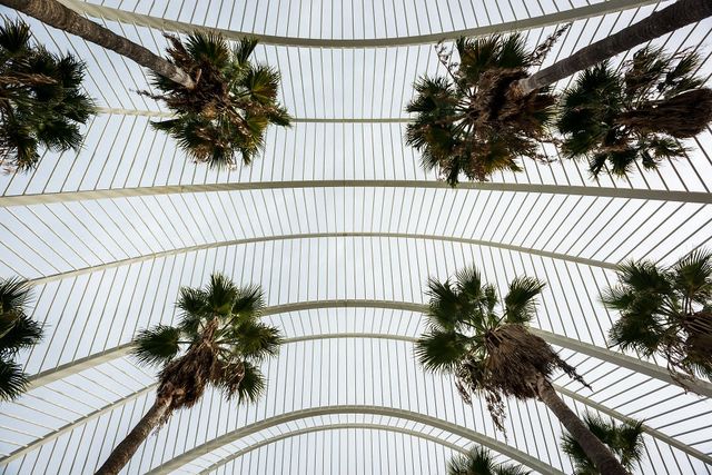 Космічна архітектура: Валенсія, від якої перехоплює подих - фото 238392