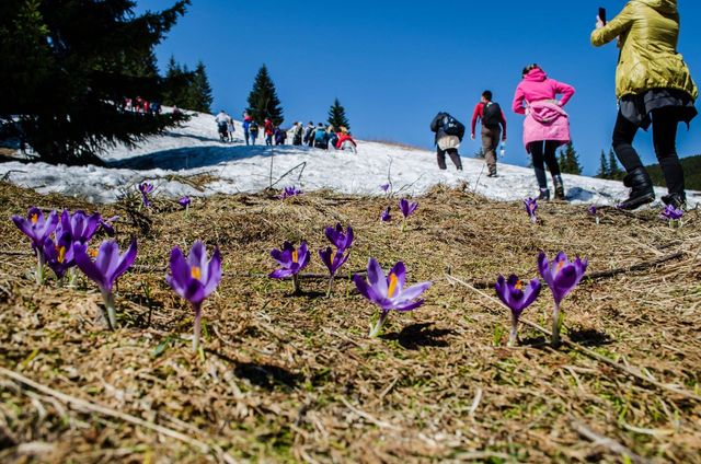 facebook.com/MNS.GOV.UA - фото 242746