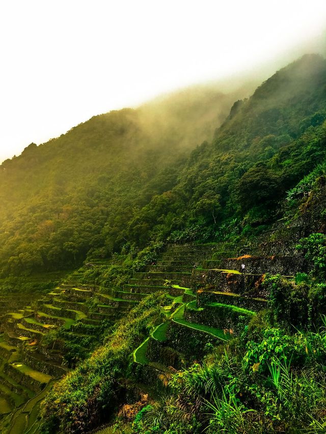 Мандрівка найвищими горами на Філіппінах - фото 240274