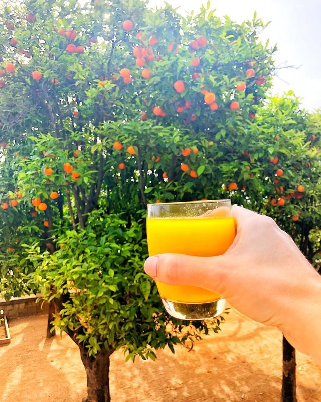 instagram.com/kosadcha - фото 242848