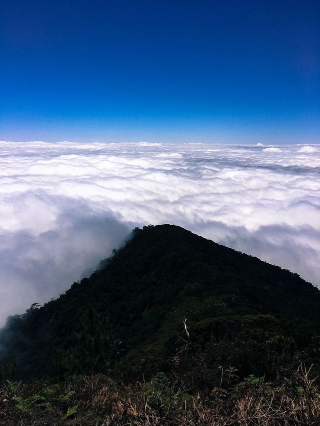 Мандрівка найвищими горами на Філіппінах - фото 240281