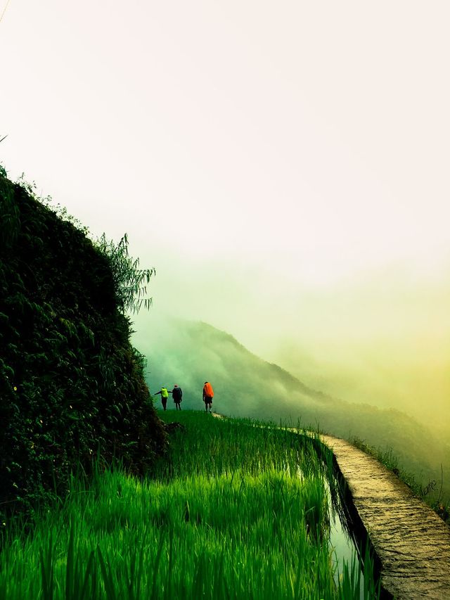 Мандрівка найвищими горами на Філіппінах - фото 240264