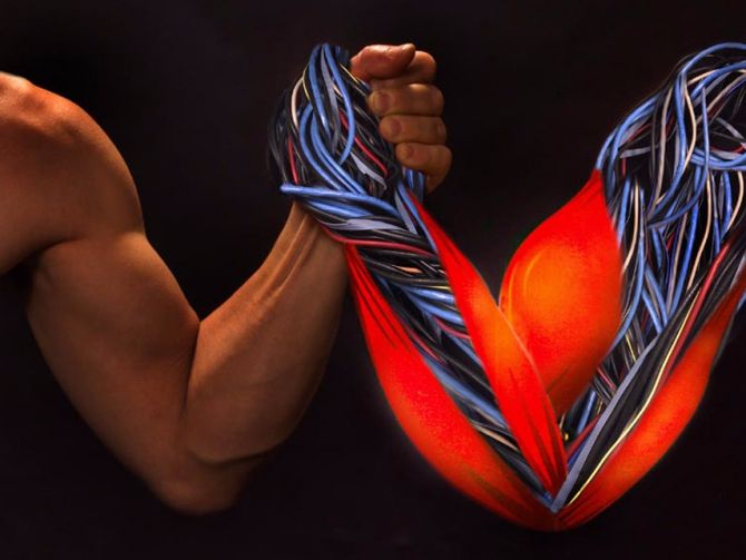 Американські дослідники створили штучні м'язи, які можуть підняти рекордну вагу