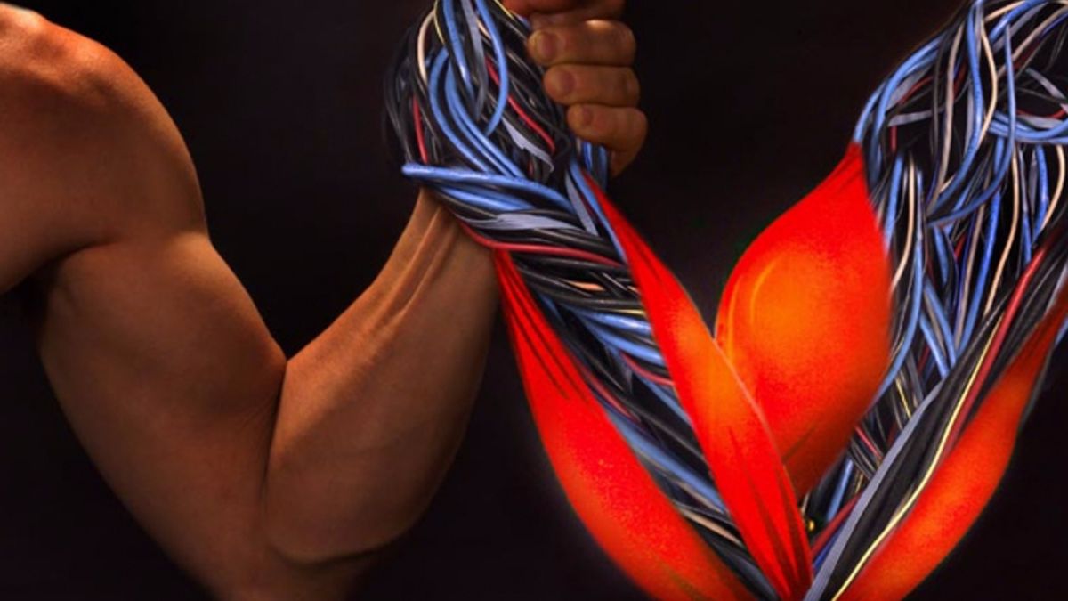 Американські дослідники створили штучні м'язи, які можуть підняти рекордну вагу - фото 1