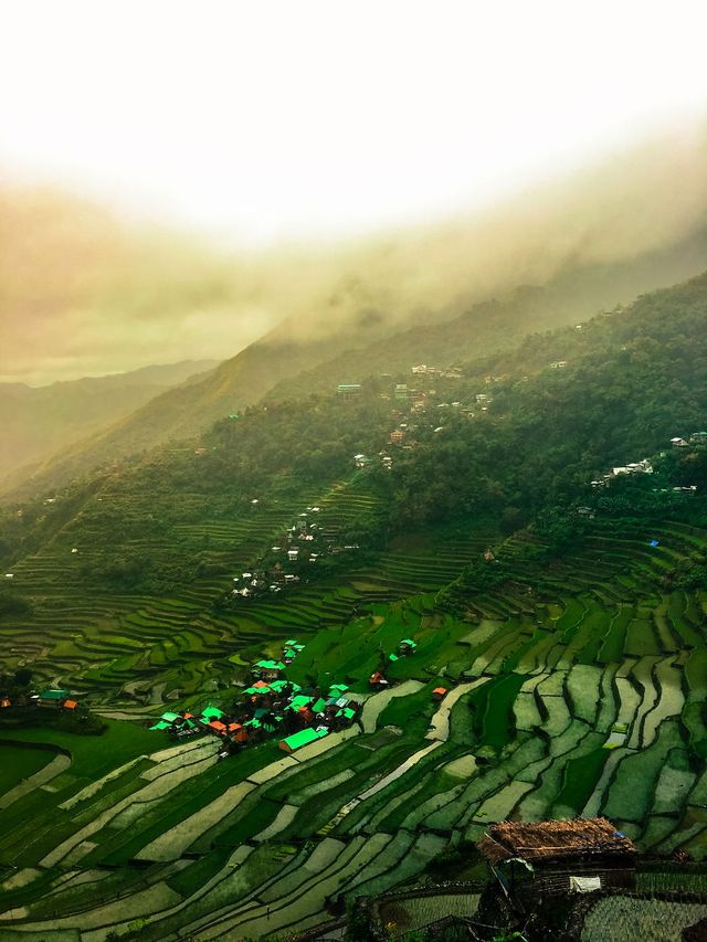 Мандрівка найвищими горами на Філіппінах - фото 240266