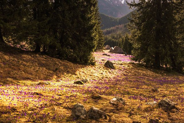 Весна у польських горах: фото, від яких перехоплює дух - фото 240738