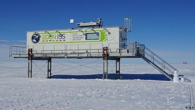 В Антарктиді зібрали перший урожай свіжих овочів - фото 238564