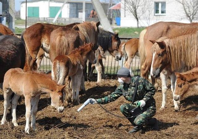 Чорнобиль в атмосферних і моторошних знімках - фото 238942