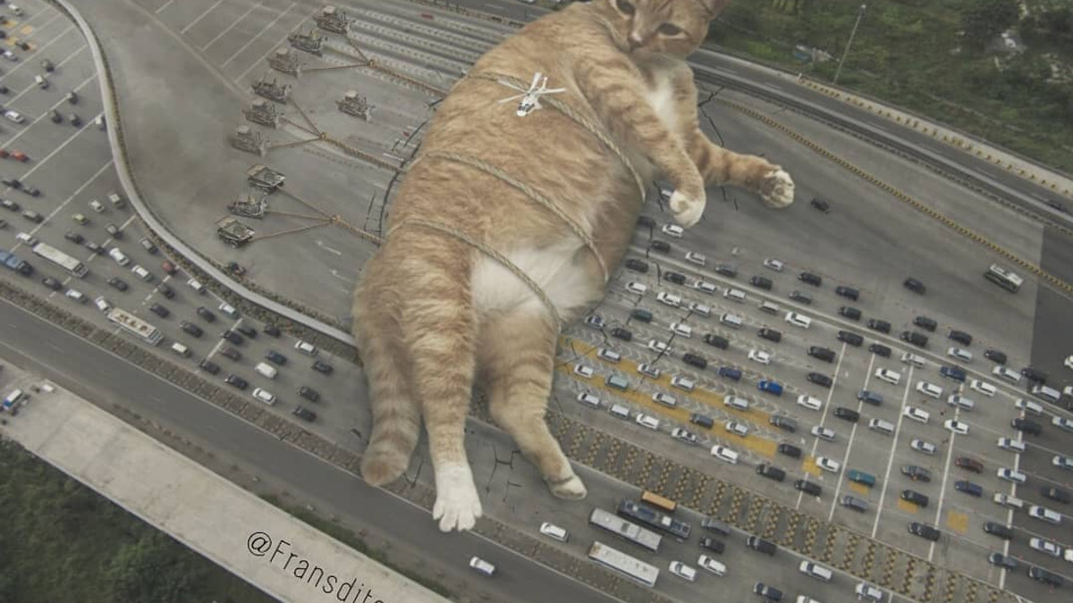 Затори з котиків: художник показує гігантських пухнастиків на вулицях - фото 1