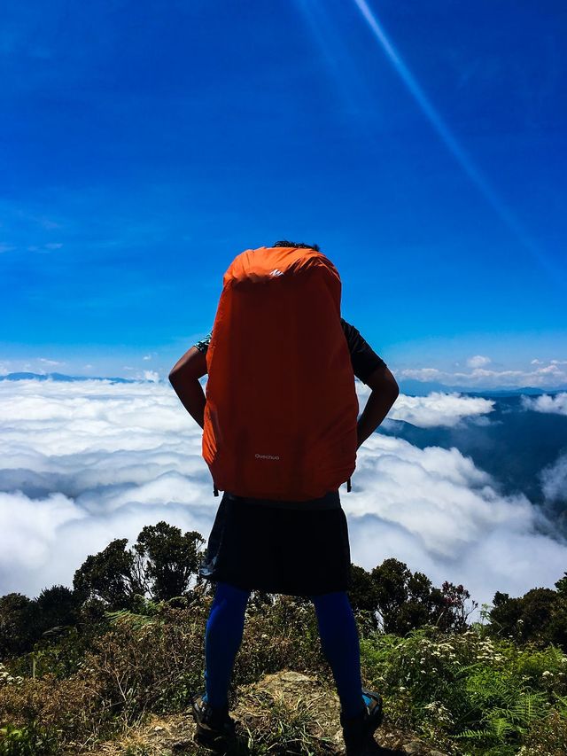 Мандрівка найвищими горами на Філіппінах - фото 240279