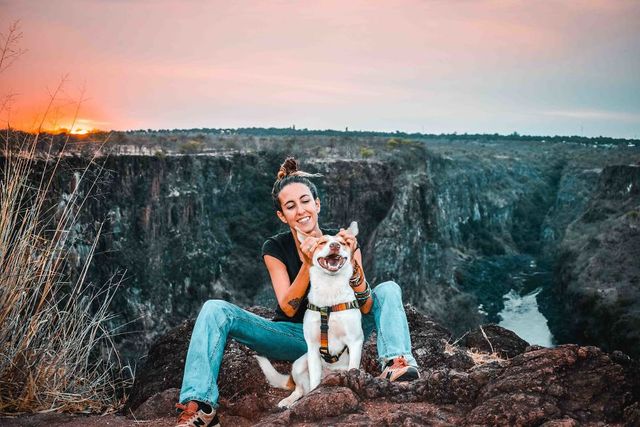 Цей собака посміхається вже рік, і ось чому - фото 240664