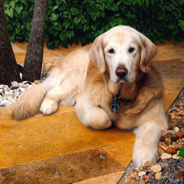 Художниця створює неймовірні малюнки, які важко відрізнити від фото - фото 237701