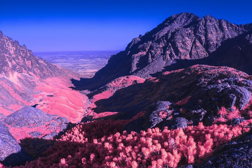 Мандрівка Польщею у рожевих тонах - фото 1