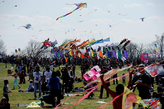 У небі над Вашингтоном запустили тисячі паперових зміїв- фото 237620