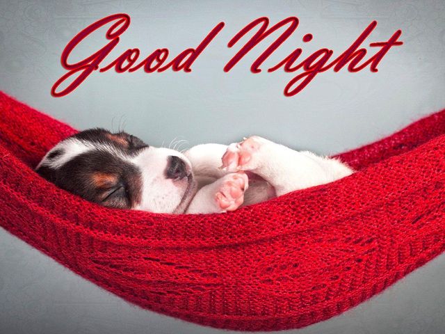 good night- фото 242660