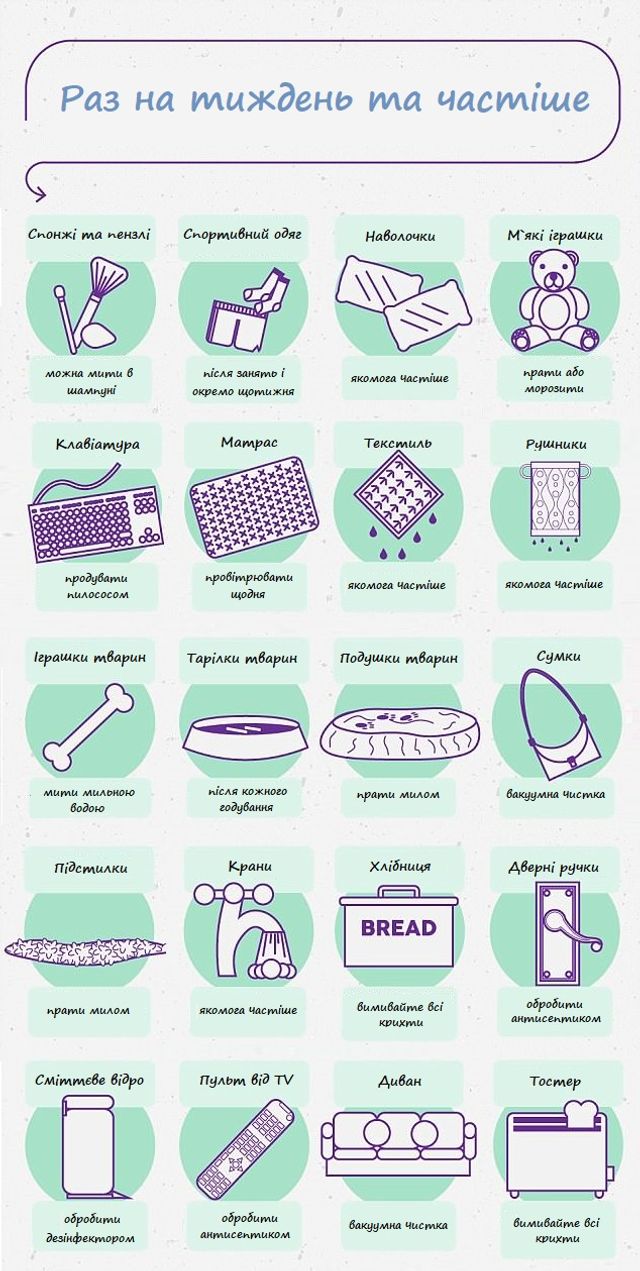 Як часто потрібно чистити предмети в домі: корисна інфографіка, яка вас здивує - фото 239135
