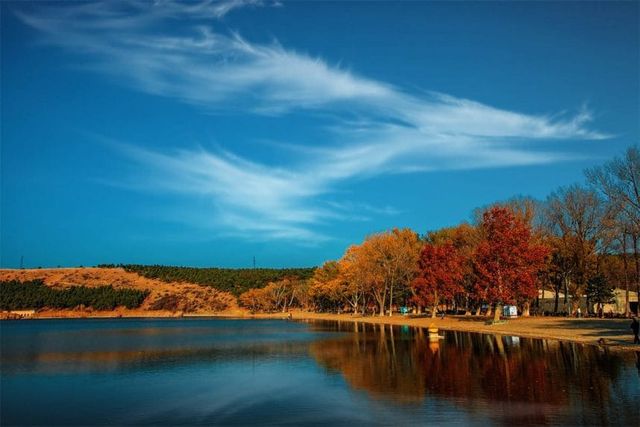 Озеро Лісі - фото 243692