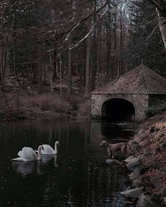 Таємничі пригоди талановитого фотографа, від яких перехоплює подих - фото 242999