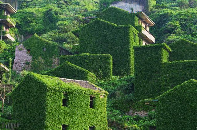 Фотограф показав моторошну красу покинутих селищ- фото 246444