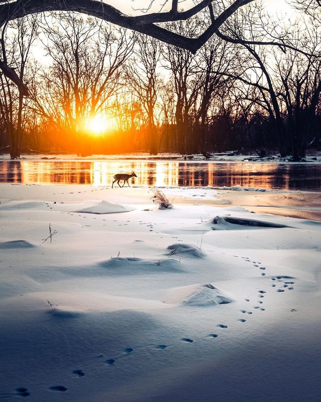 Подорожі та природи в об'єктиві талановитого фотографа - фото 248866